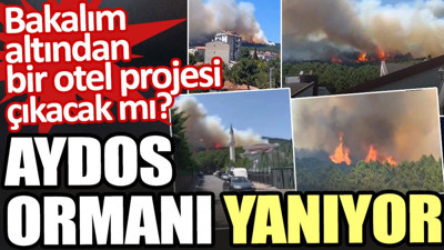 İstanbul Aydos Ormanı yanıyor
