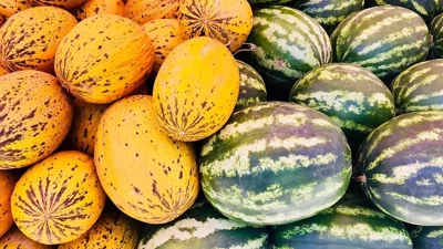 Karpuza %33, kavuna %43 zam