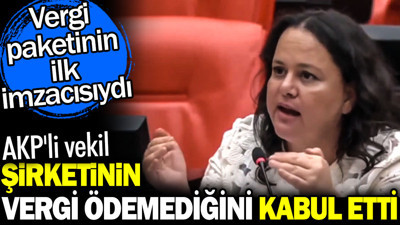 AKP'li vekil şirketinin vergi ödemediğini kabul etti. Vergi paketinin ilk imzacısıydı