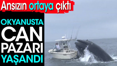 Okyanusta can pazarı yaşandı. Ansızın ortaya çıktı