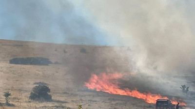 Malatya'da anız yangını (24 Temmuz 2024)