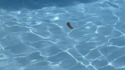 Antalya'da bir müşteri havuzda büyük tuvaletini yaptı