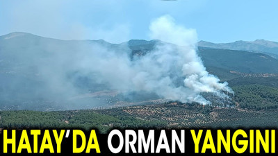Hatay'da orman yangını (28 Temmuz 2024)