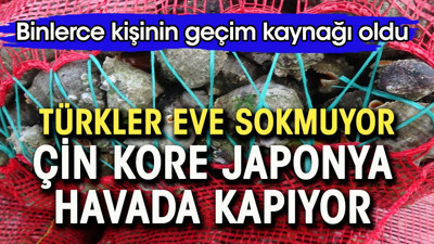Türkler eve sokmuyor, Çin Kore Japonya havada kapıyor. Binlerce kişinin geçim kaynağı oldu