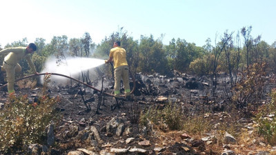 Muğla'da yangın (01 Ağustos 2024)