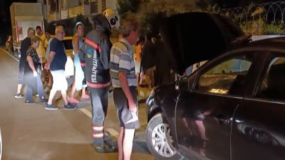 Otomobilde yılan avı