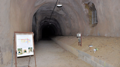 Alman işadamı toplama kampı satın aldı