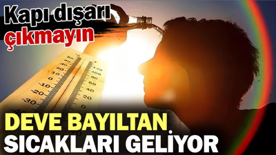 Deve bayıltan sıcakları geliyor kapı dışarı çıkmayın! Meteoroloji açıkladı