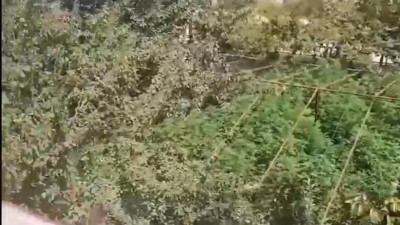 Ankara'da 40 kilo esrar ele geçirildi 072024 (07 Ağustos 2024)