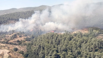 Milas'ta orman yangını (07 Ağustos 2024)