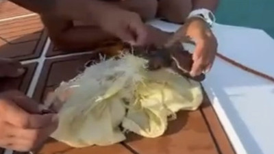 Caretta Caretta yavrusunu poşetten kurtardılar