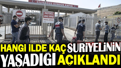 Hangi ilde kaç Suriyelinin yaşadığı açıklandı