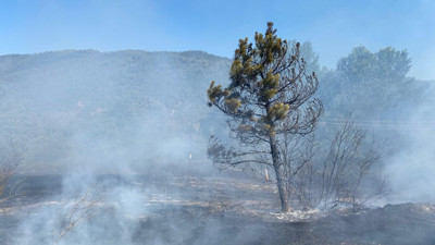 Anız yangınında 40 dönümlük arazi kül oldu