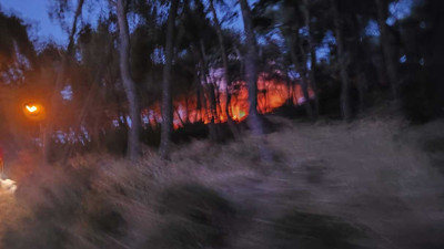 Heybeliada'da ormanlık alanda yangın (10 Ağustos 2024)