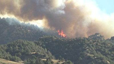 Manisa'daki orman yangını 8 saattir sürüyor
