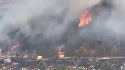 Didim'de makilik alanda yangın (16 Ağustos 2024)