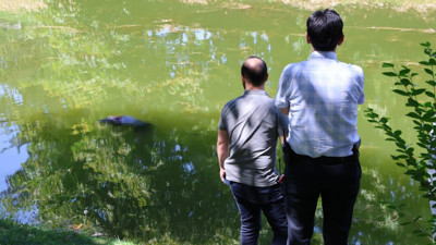 Porsuk Çayı'nda ceset