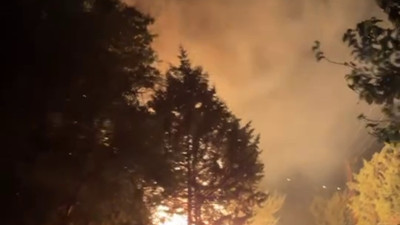 Hatay'da yangın (19 Ağustos 2024)