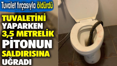Tuvaletini yaparken 3,5 metrelik pitonun saldırısına uğradı. Tuvalet fırçasıyla öldürdü