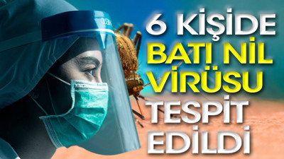 Son dakika... 6 kişide Batı Nil Virüsü tespit edildi