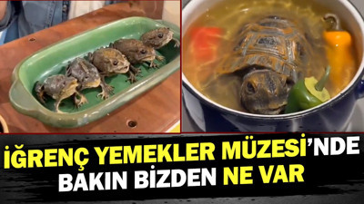 İğrenç Yemekler Müzesi’nde bakın bizden ne var
