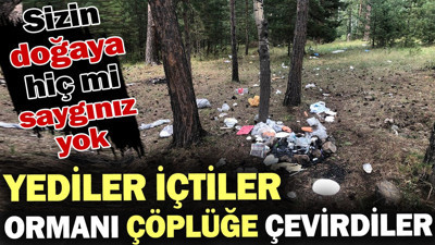 Yediler içtiler ormanı çöplüğe çevirdiler! Sizin doğaya hiç mi saygınız yok