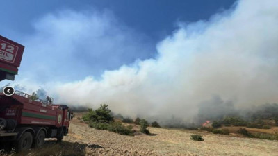 Kahramanmaraş'ta orman yangını (31 Ağustos 2024)