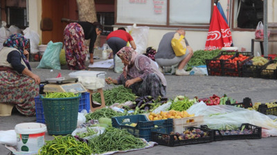 Kaz Dağları’nda yetişiyor pazarda kapışılıyor