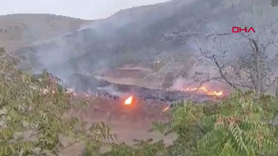 Elazığ’da örtü yangını (12 Eylül 2024)