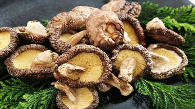 Mantar zehirlenmesi vücutta kalıcı hasar bırakabiliyor