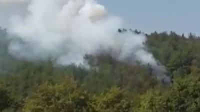 Üniversite kampüsünde orman yangını