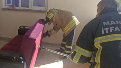 Evi yılanlar bastı