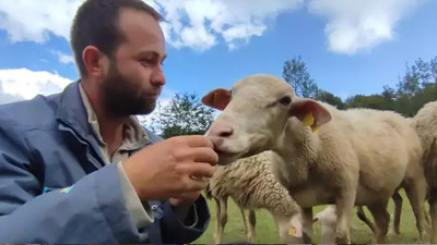 İki üniversite bitirdi! Kaymakam olmayı hayal ederken çoban oldu