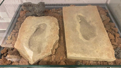 Manisa'da 4 bin 500 yıllık ayak izleri