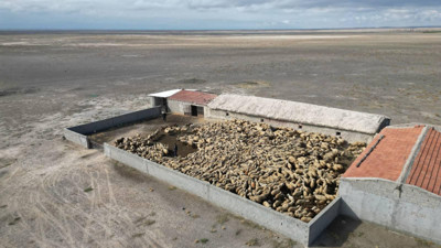 Konya'da çalınan 1200 küçükbaş hayvan çiftlikte bulundu