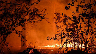 1 milyon dönüm kül oldu