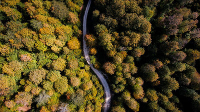 Domaniç Dağları'nda eşsiz sonbahar manzaraları: Sonbahar renkleri sis bulutlarıyla birleşti