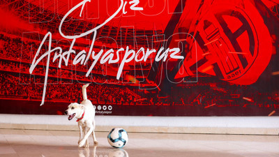 Antalyaspor’un yeni misafiri! ’Akrep’