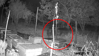 Koca oğlanlar bu kez bu önlemi geçemedi