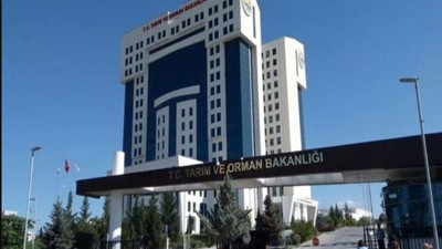 Türkiye'nin 25 havzasında taşkın risk ve yönetim planları bu yıl tamamlanacak