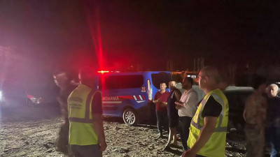 Hatay Dörtyol'da 11 köpek ölüsü bulundu