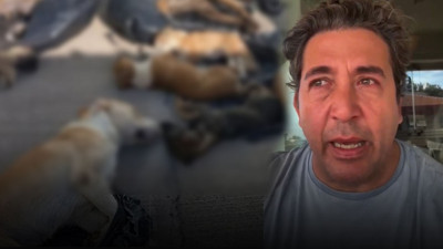 Ünlü oyuncu Emre Kınay, hayvan katliamına gözyaşları içinde tepki gösterdi "Bu nasıl bir vicdandır?"