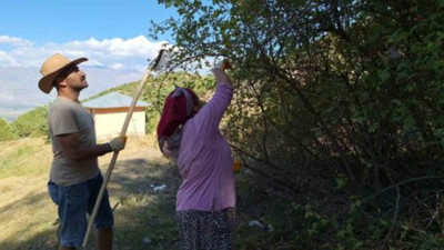 Azı şifa fazlası zehir saçıyor. Dağda kendiliğinden yetişiyor markette kilosu 659 TL