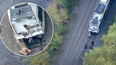 Ağaç trene çarptı: İlginç kazada 1 ölü 16 yaralı