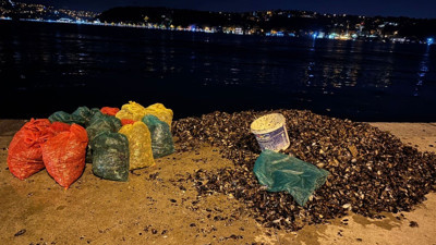 Sarıyer'de midye operasyonu