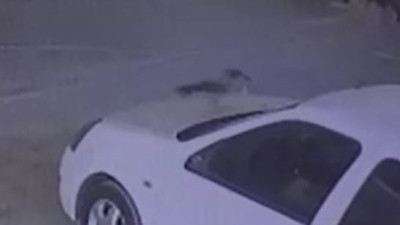 Karga otomobilin anahtarını çaldı