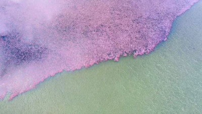 Terkos Gölü 2 renge boyandı