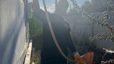 Çorum'da yılan paniği