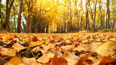 Kahramanmaraş’ta büyüleyen güzellik! Sonbahar manzaraları mest etti