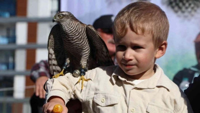 Atmacalar güzellik için kıyasıya yarıştılar